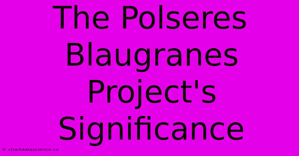 The Polseres Blaugranes Project's Significance