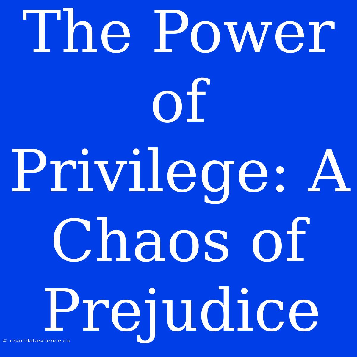 The Power Of Privilege: A Chaos Of Prejudice