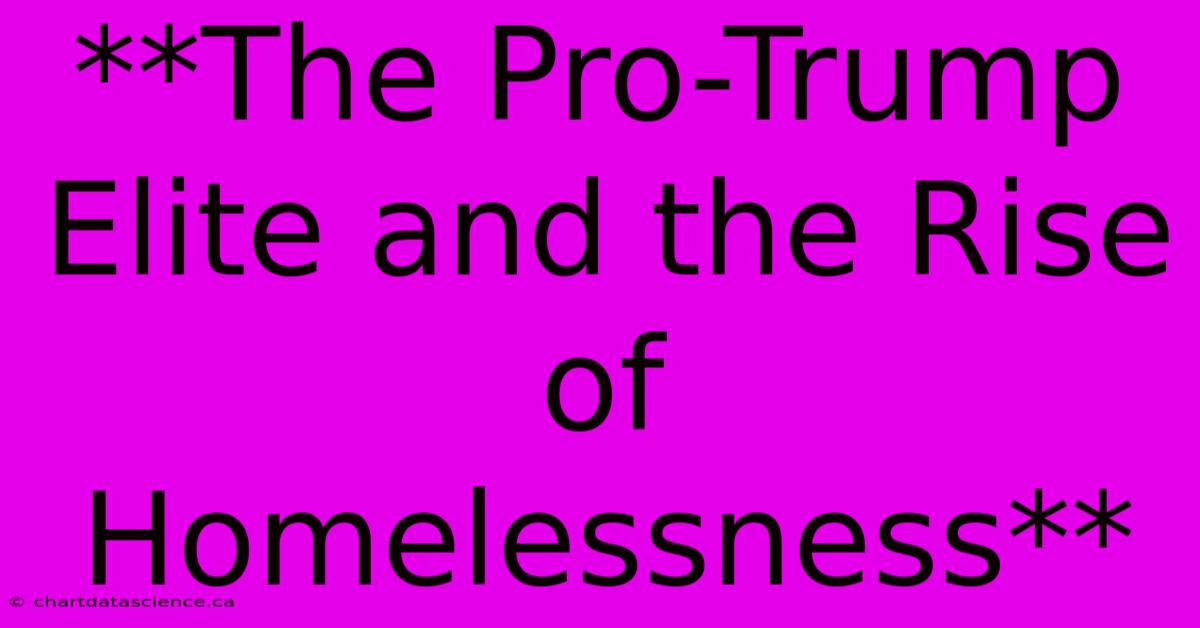 **The Pro-Trump Elite And The Rise Of Homelessness**