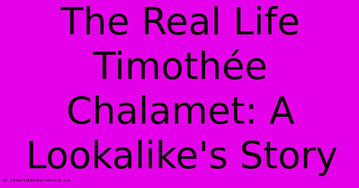 The Real Life Timothée Chalamet: A Lookalike's Story