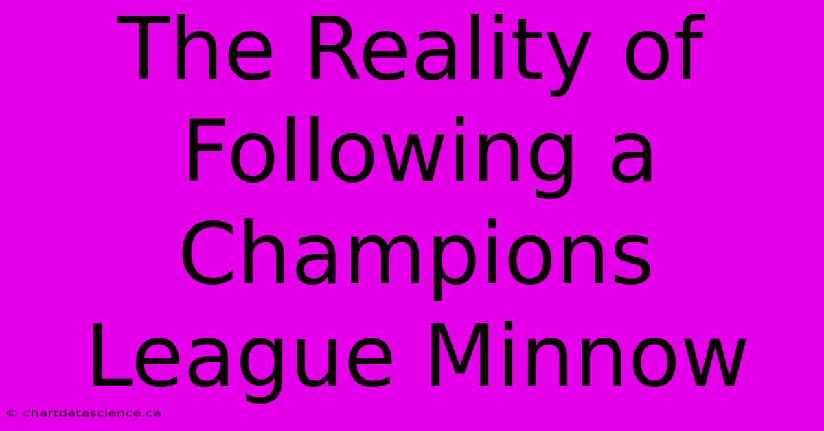 The Reality Of Following A Champions League Minnow