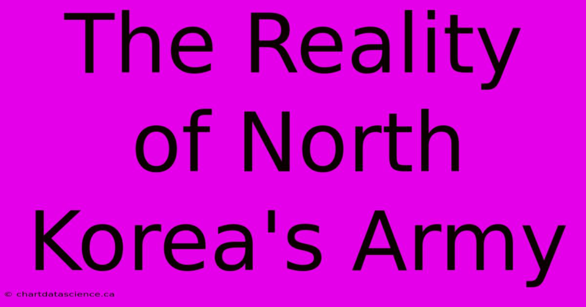 The Reality Of North Korea's Army 