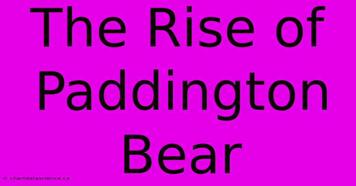 The Rise Of Paddington Bear