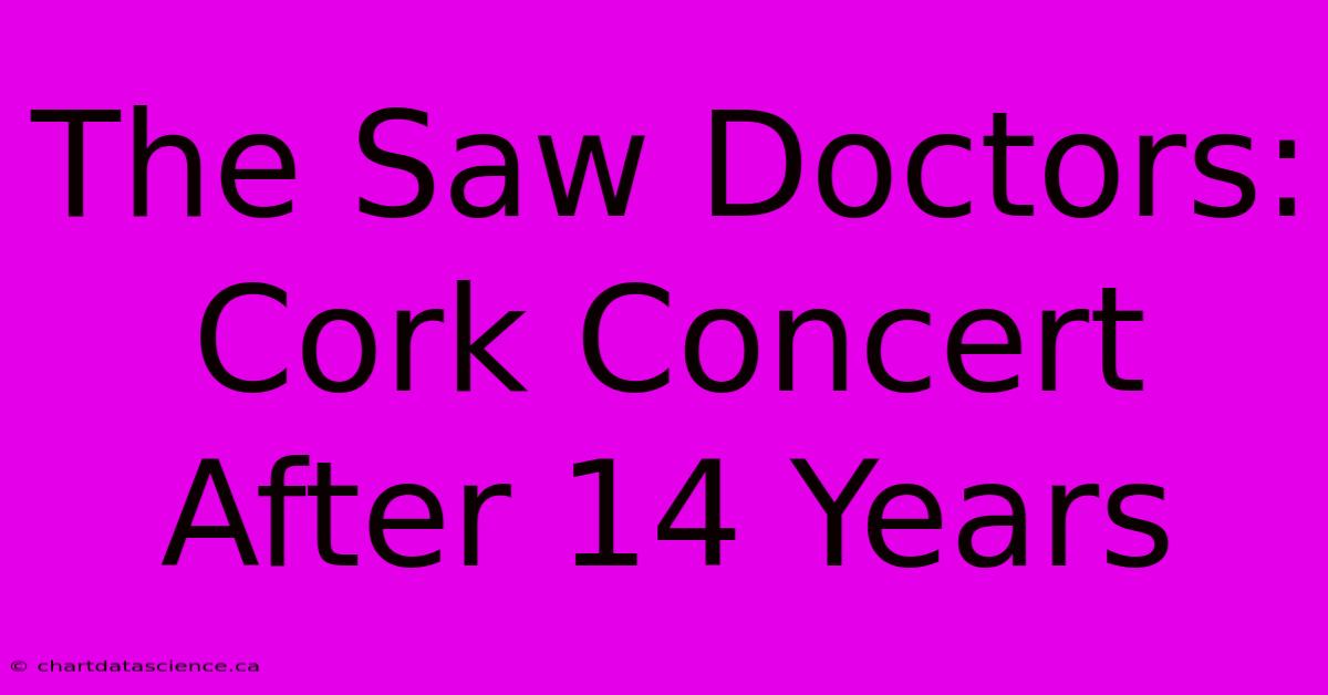 The Saw Doctors: Cork Concert After 14 Years