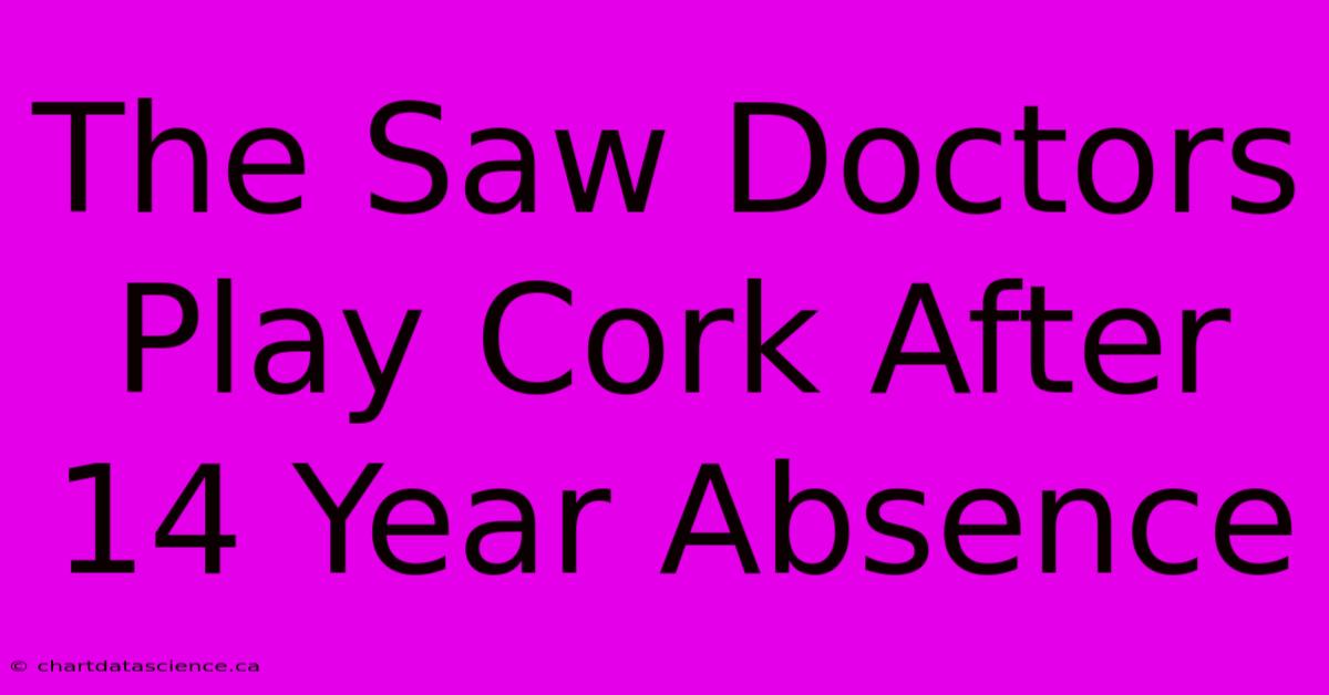 The Saw Doctors Play Cork After 14 Year Absence