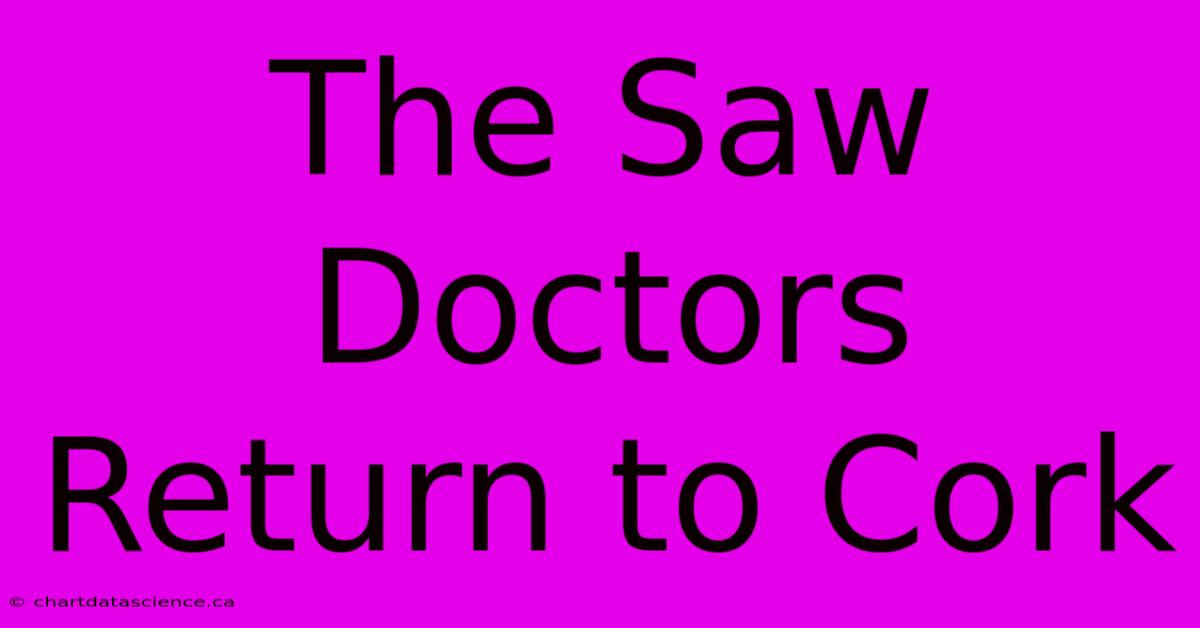 The Saw Doctors Return To Cork 