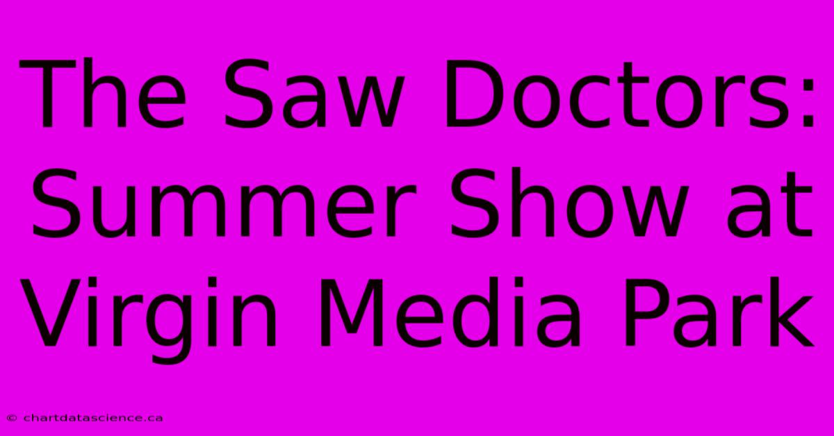 The Saw Doctors: Summer Show At Virgin Media Park