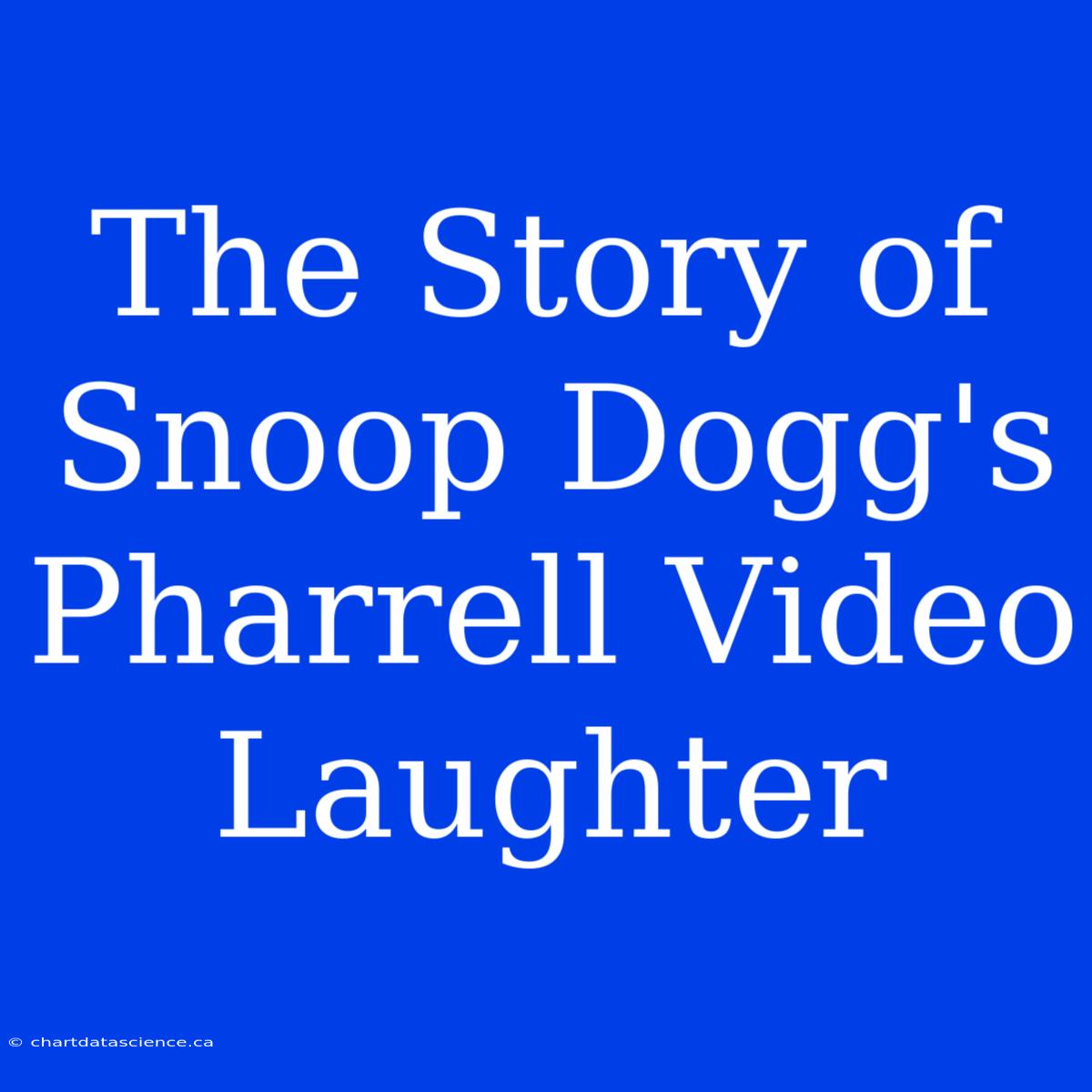 The Story Of Snoop Dogg's Pharrell Video Laughter