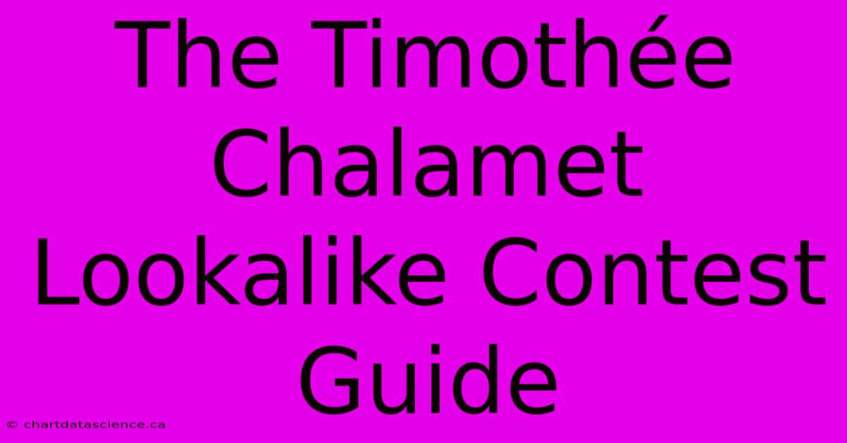 The Timothée Chalamet Lookalike Contest Guide