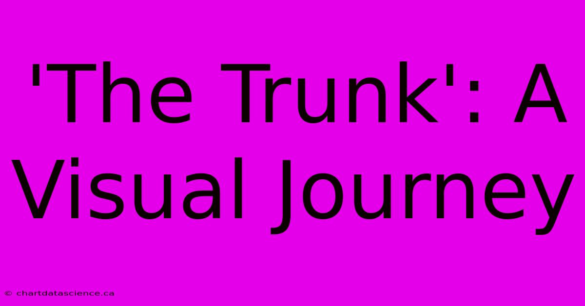 'The Trunk': A Visual Journey