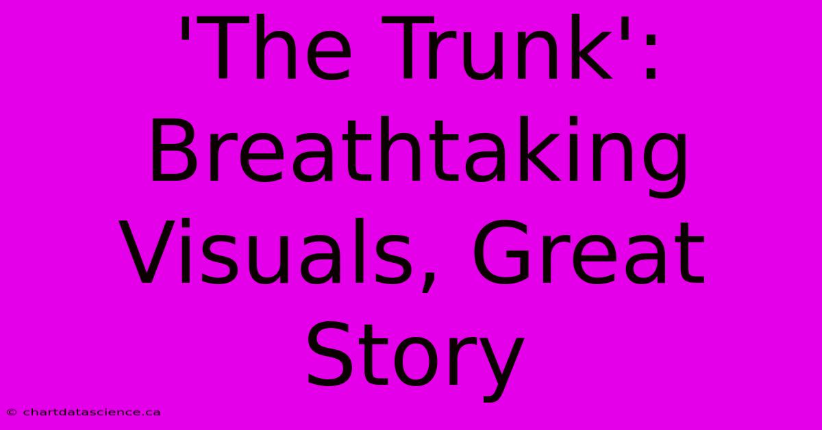 'The Trunk': Breathtaking Visuals, Great Story