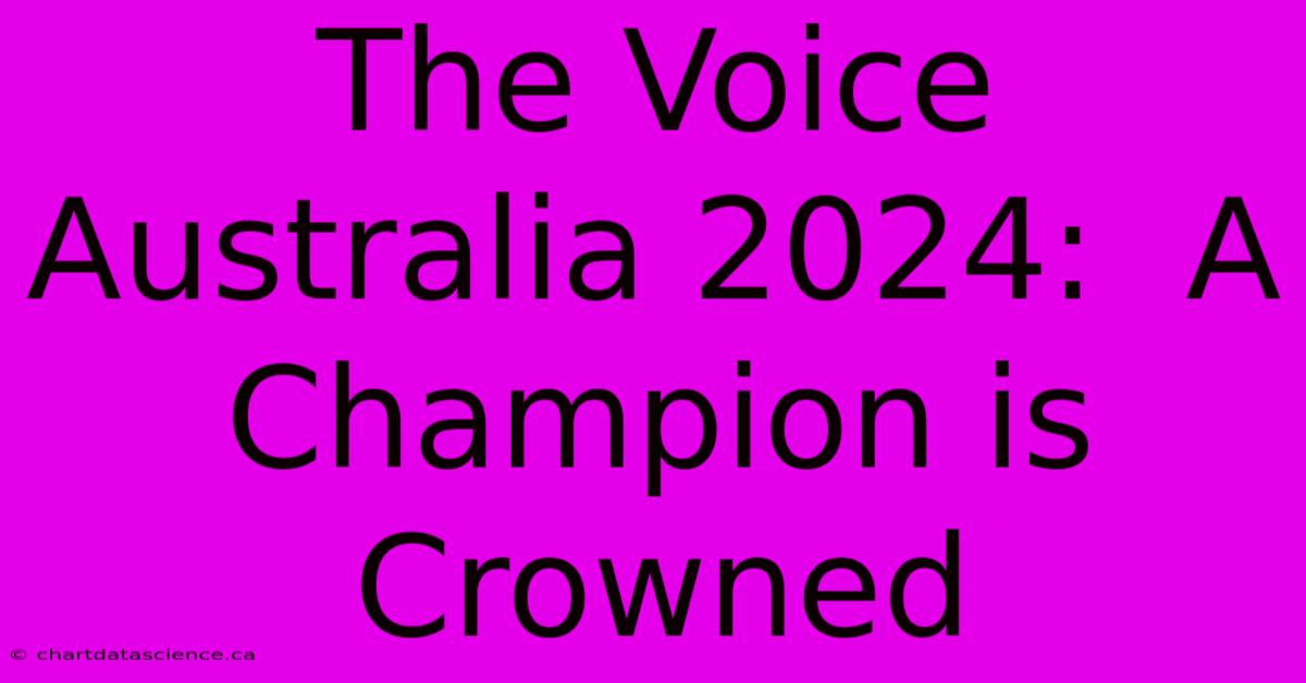 The Voice Australia 2024:  A Champion Is Crowned