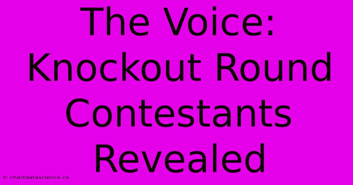 The Voice: Knockout Round Contestants Revealed