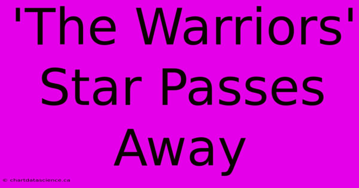 'The Warriors' Star Passes Away