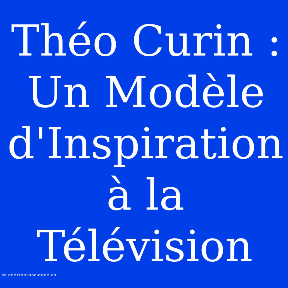 Théo Curin : Un Modèle D'Inspiration À La Télévision