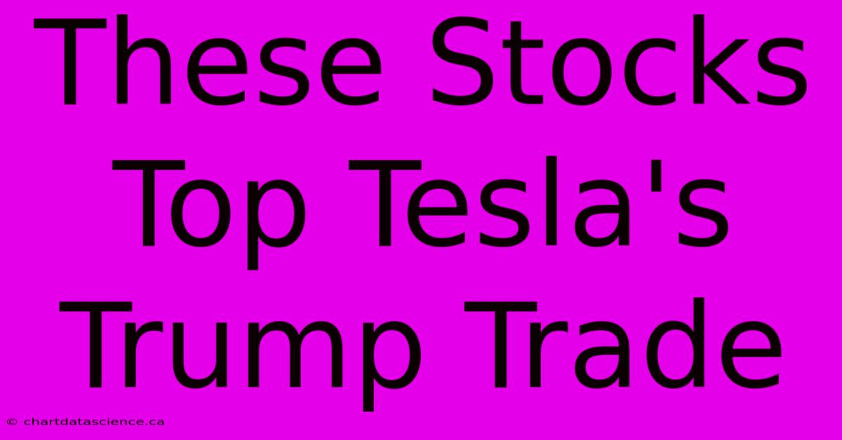 These Stocks Top Tesla's Trump Trade