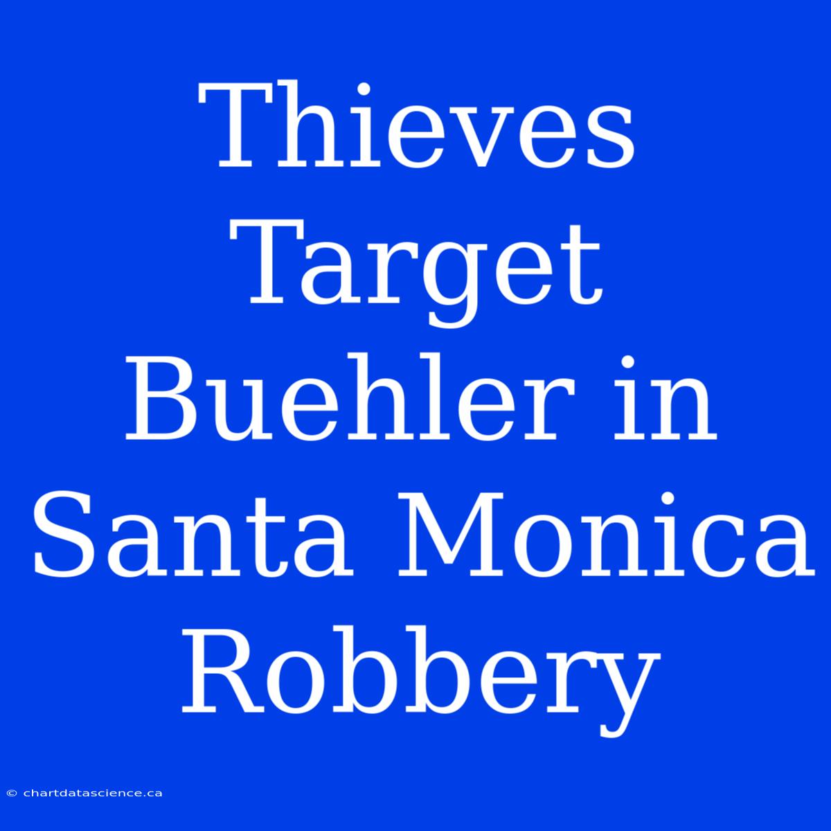 Thieves Target Buehler In Santa Monica Robbery