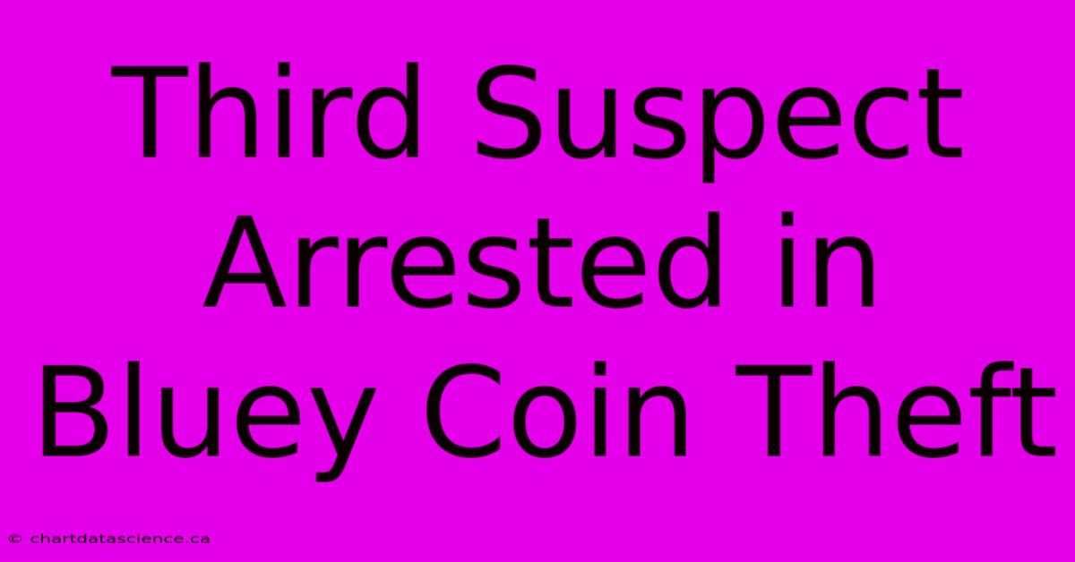 Third Suspect Arrested In Bluey Coin Theft