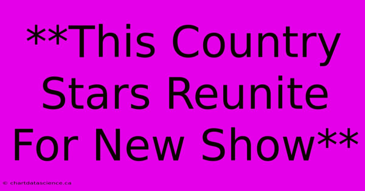 **This Country Stars Reunite For New Show**