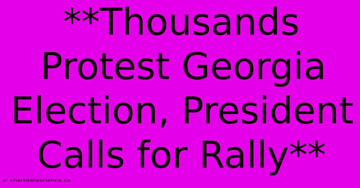 **Thousands Protest Georgia Election, President Calls For Rally**