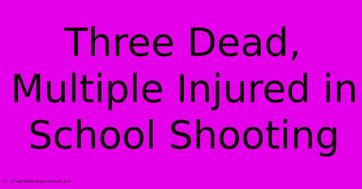 Three Dead, Multiple Injured In School Shooting