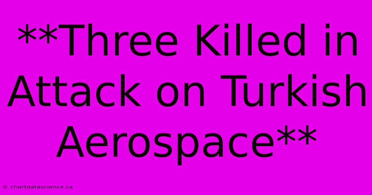 **Three Killed In Attack On Turkish Aerospace**