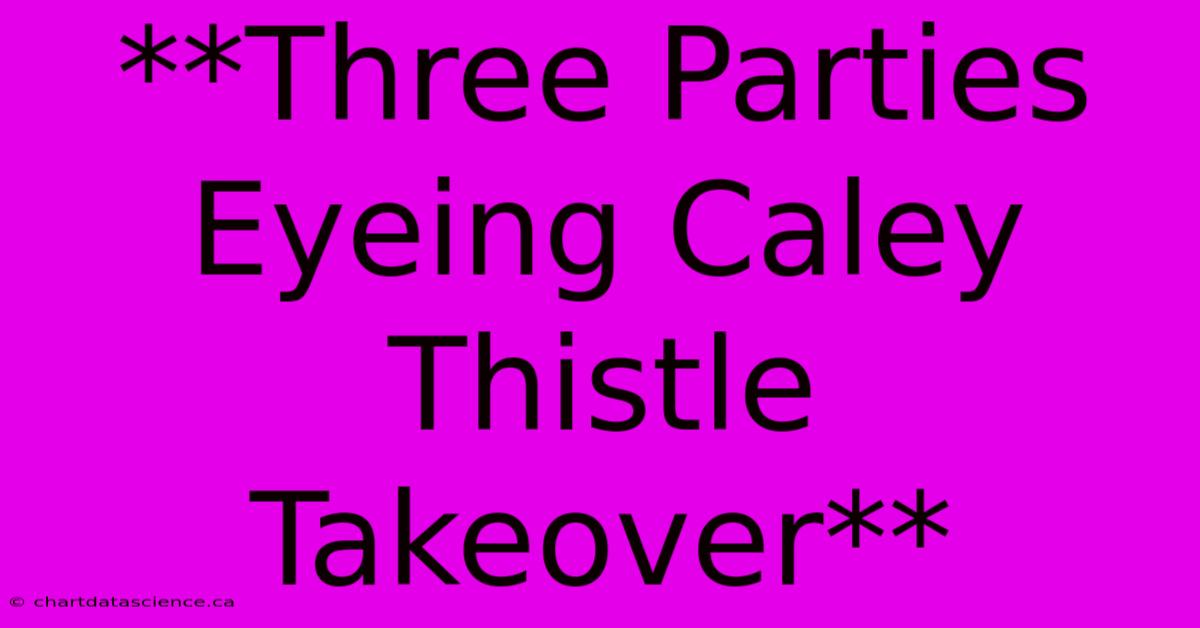 **Three Parties Eyeing Caley Thistle Takeover**