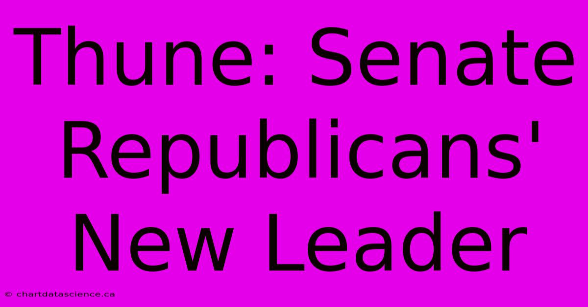 Thune: Senate Republicans' New Leader