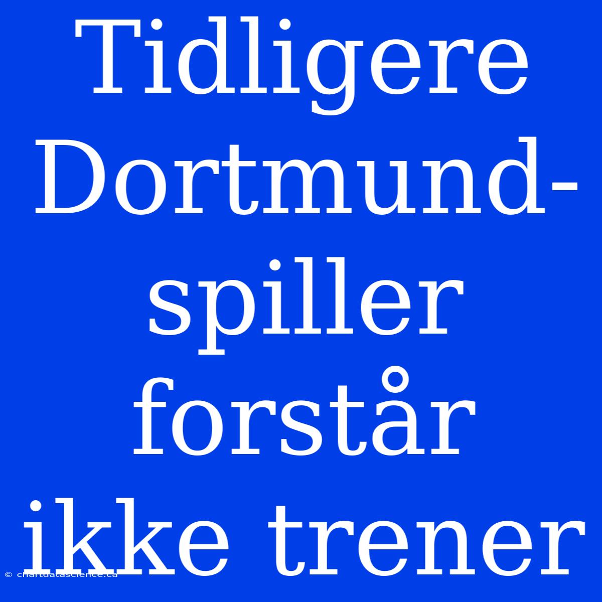 Tidligere Dortmund-spiller Forstår Ikke Trener