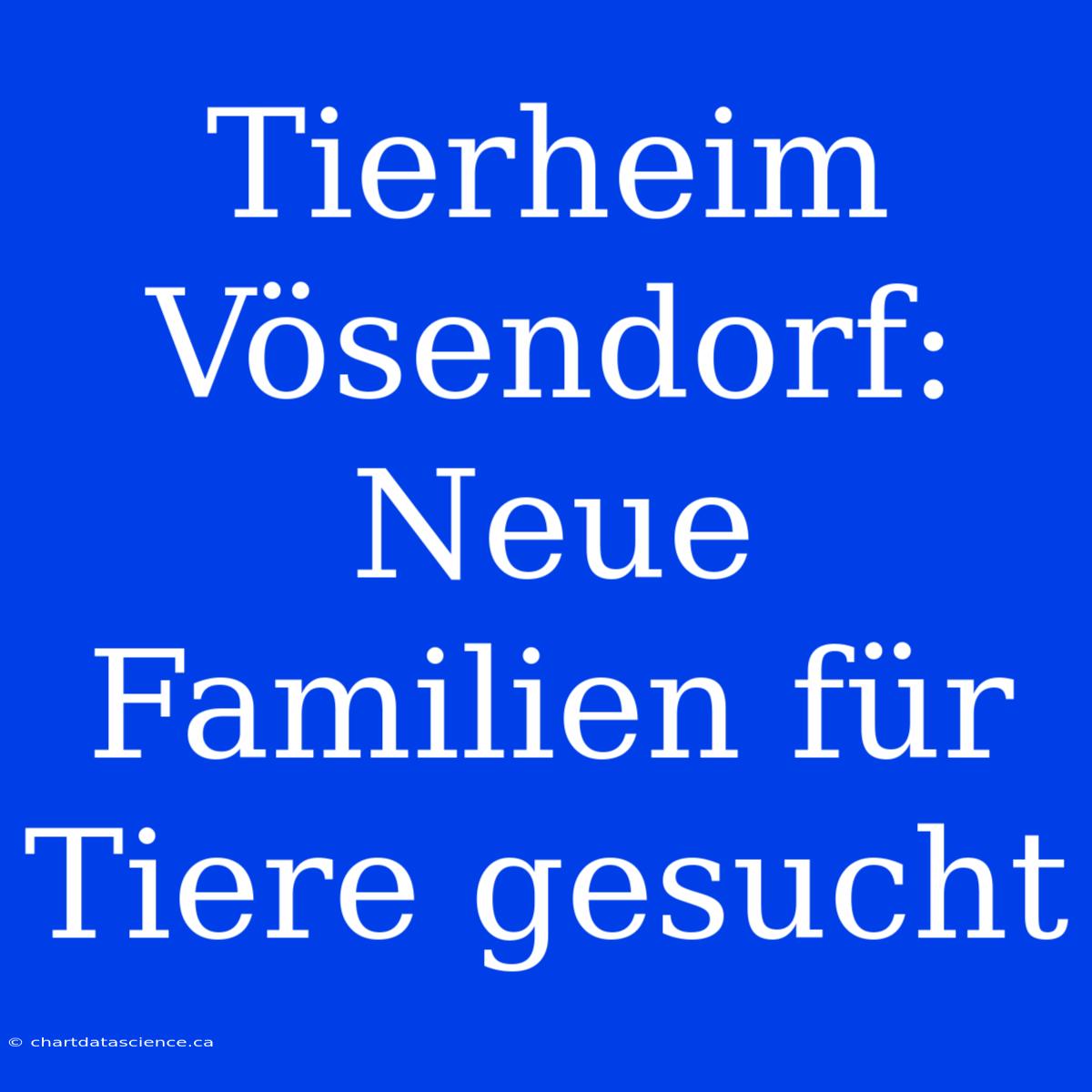 Tierheim Vösendorf: Neue Familien Für Tiere Gesucht