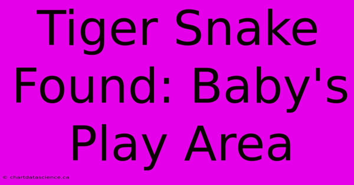 Tiger Snake Found: Baby's Play Area