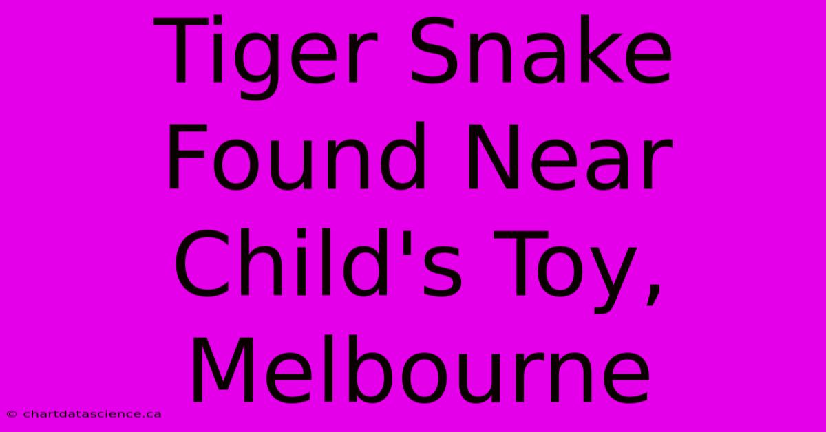 Tiger Snake Found Near Child's Toy, Melbourne