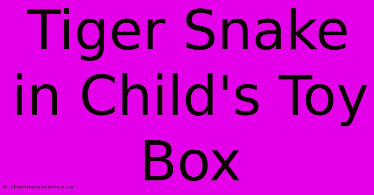 Tiger Snake In Child's Toy Box