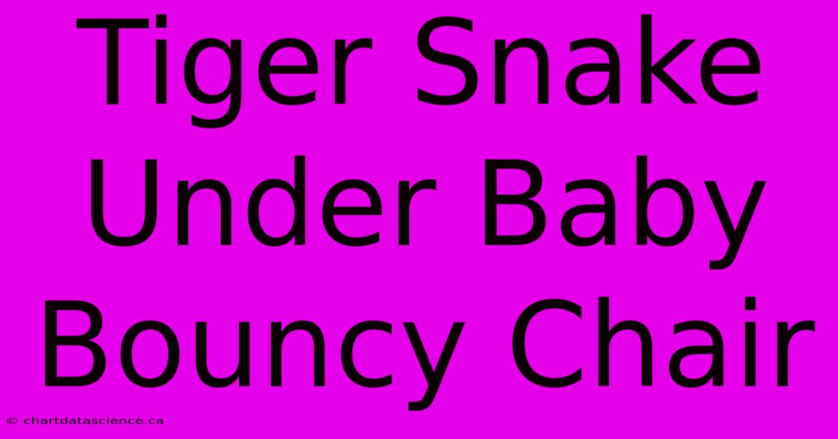 Tiger Snake Under Baby Bouncy Chair