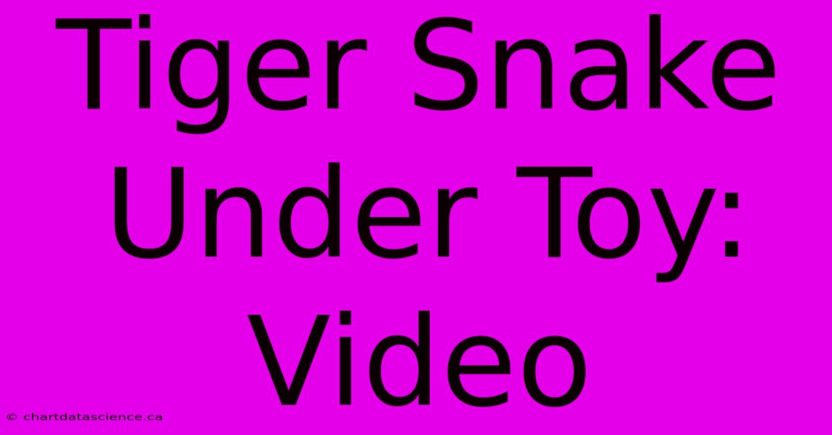 Tiger Snake Under Toy: Video