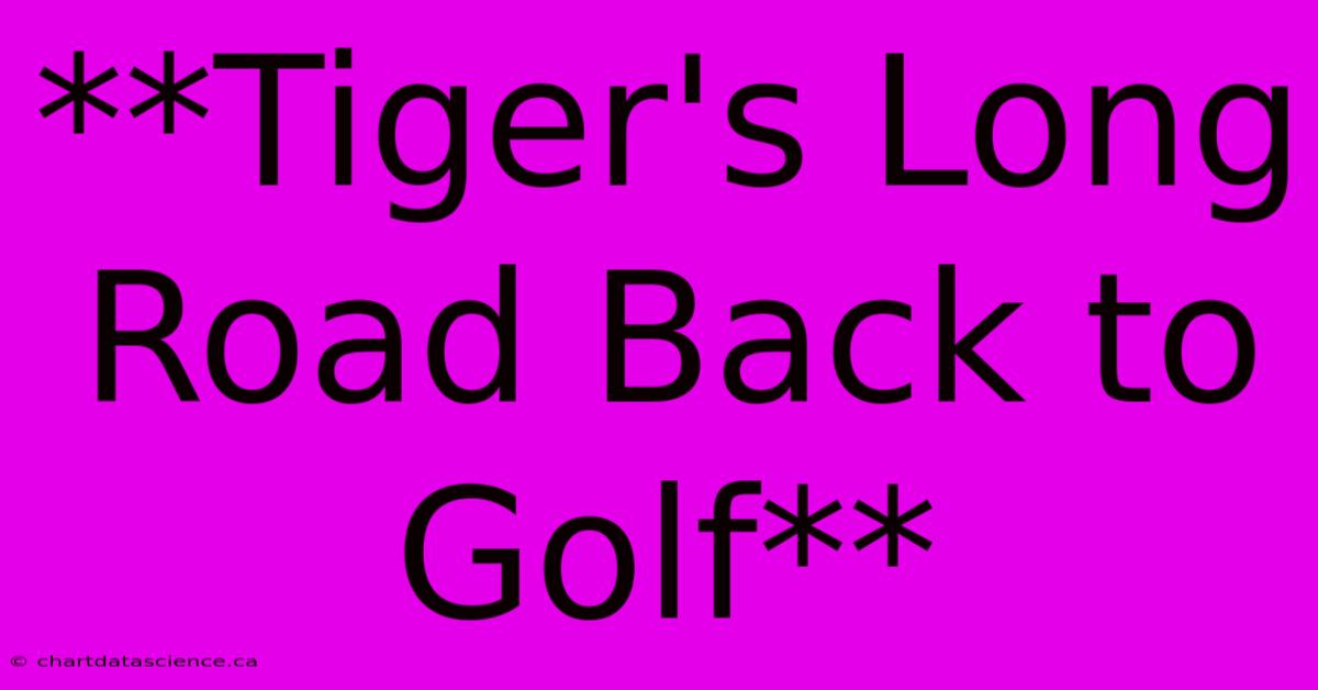 **Tiger's Long Road Back To Golf**