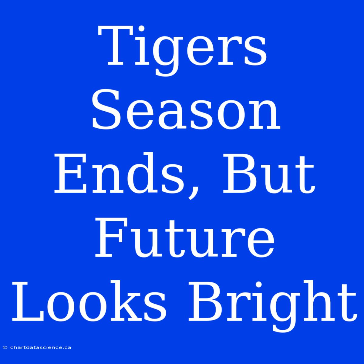 Tigers Season Ends, But Future Looks Bright