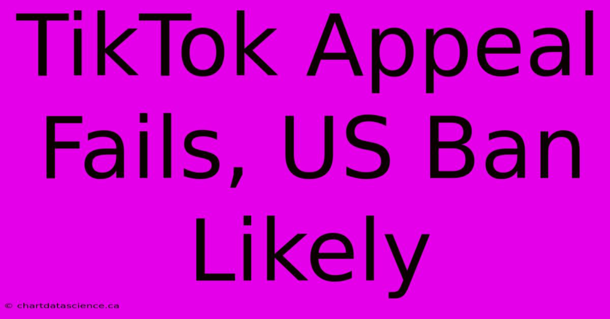 TikTok Appeal Fails, US Ban Likely