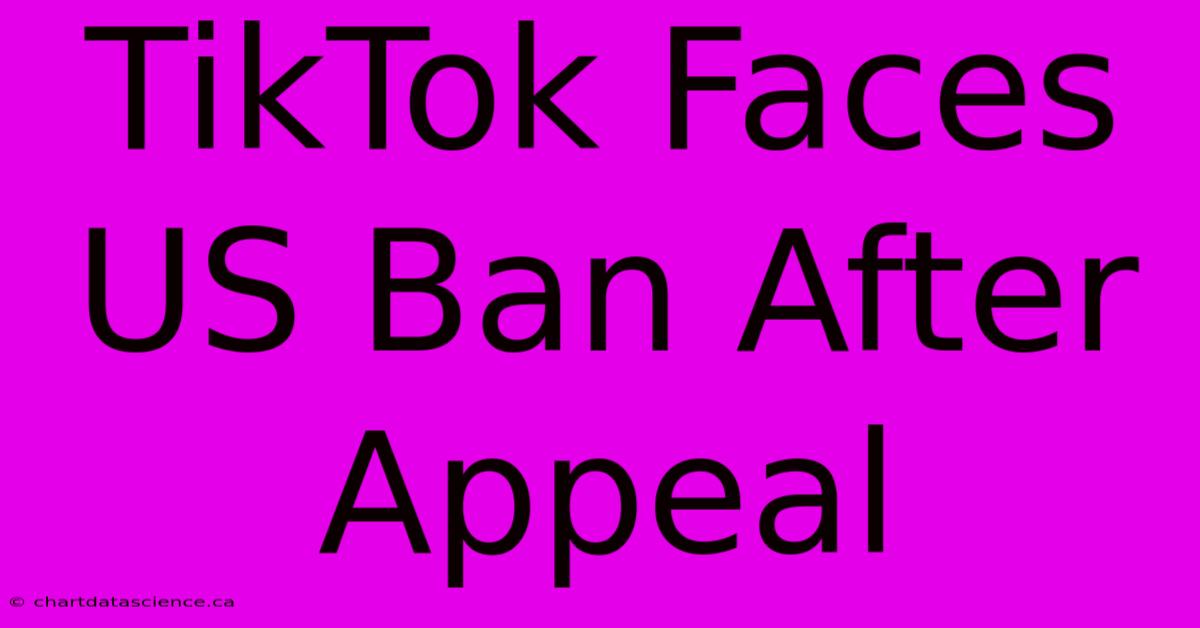 TikTok Faces US Ban After Appeal