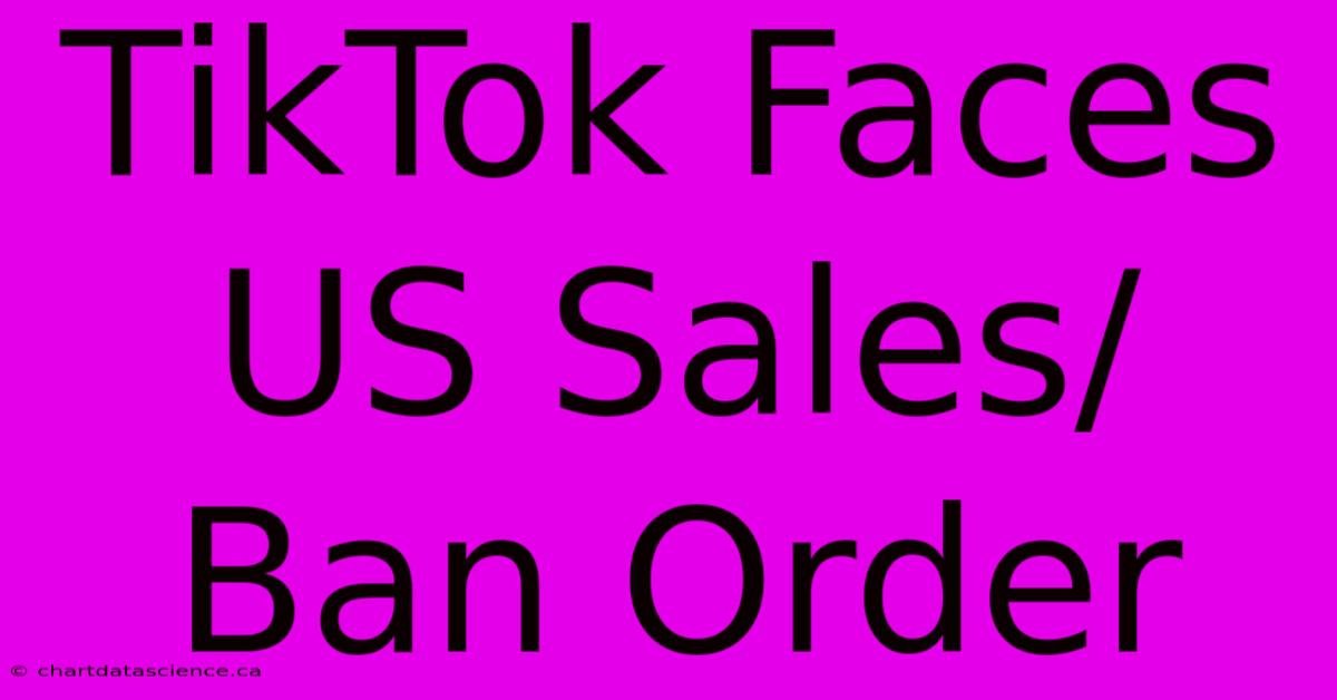 TikTok Faces US Sales/Ban Order