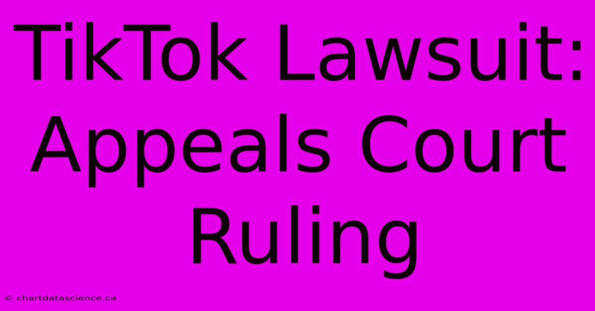 TikTok Lawsuit: Appeals Court Ruling