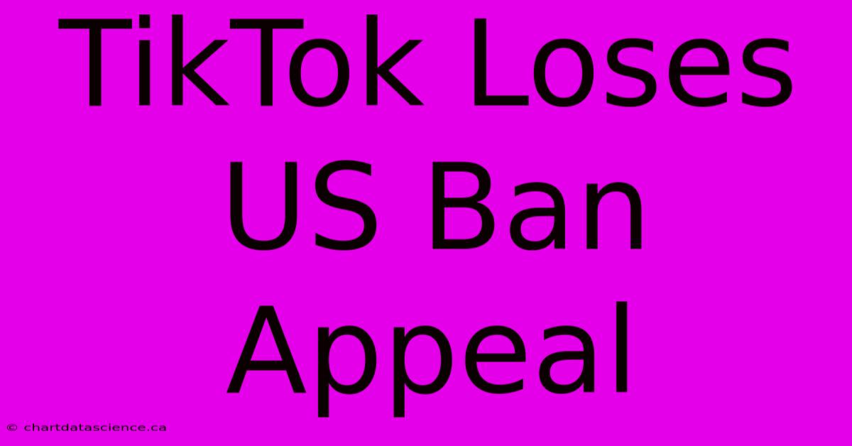 TikTok Loses US Ban Appeal