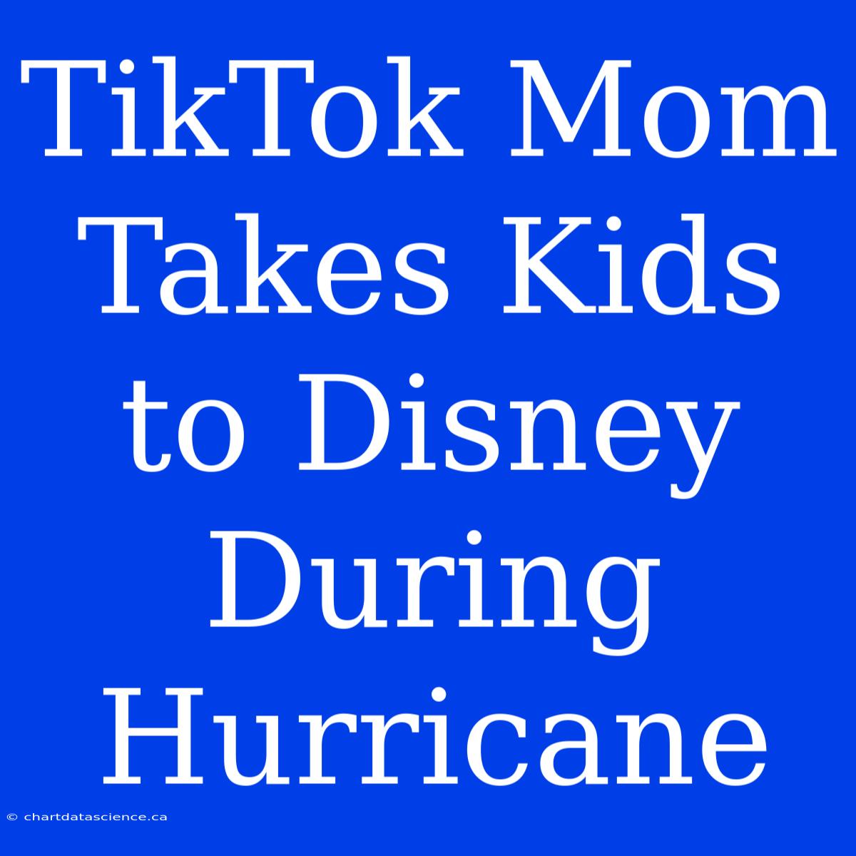 TikTok Mom Takes Kids To Disney During Hurricane