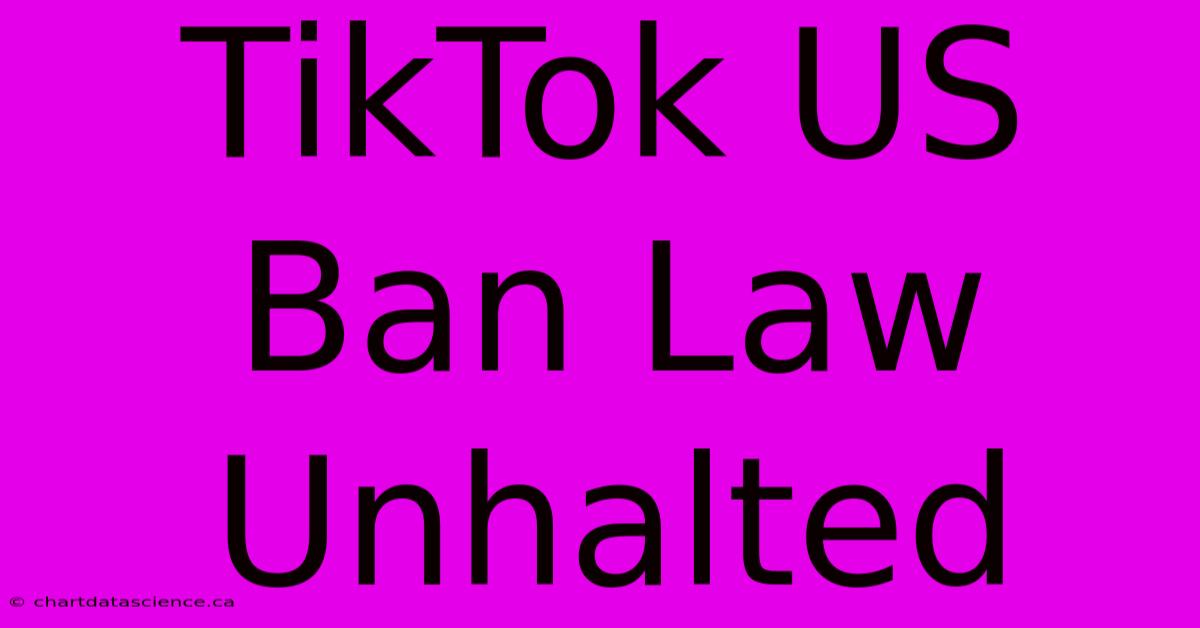 TikTok US Ban Law Unhalted