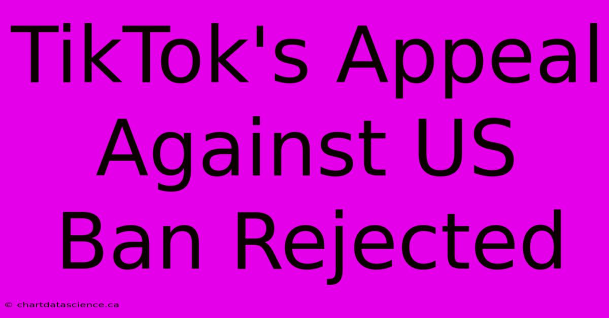 TikTok's Appeal Against US Ban Rejected