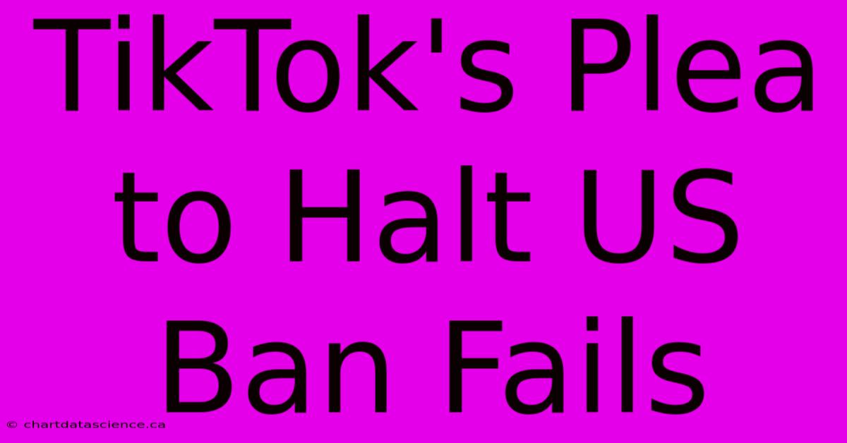 TikTok's Plea To Halt US Ban Fails