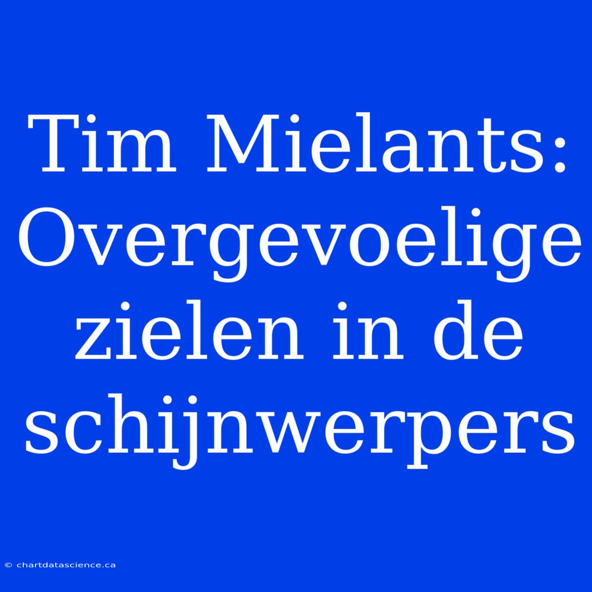 Tim Mielants: Overgevoelige Zielen In De Schijnwerpers