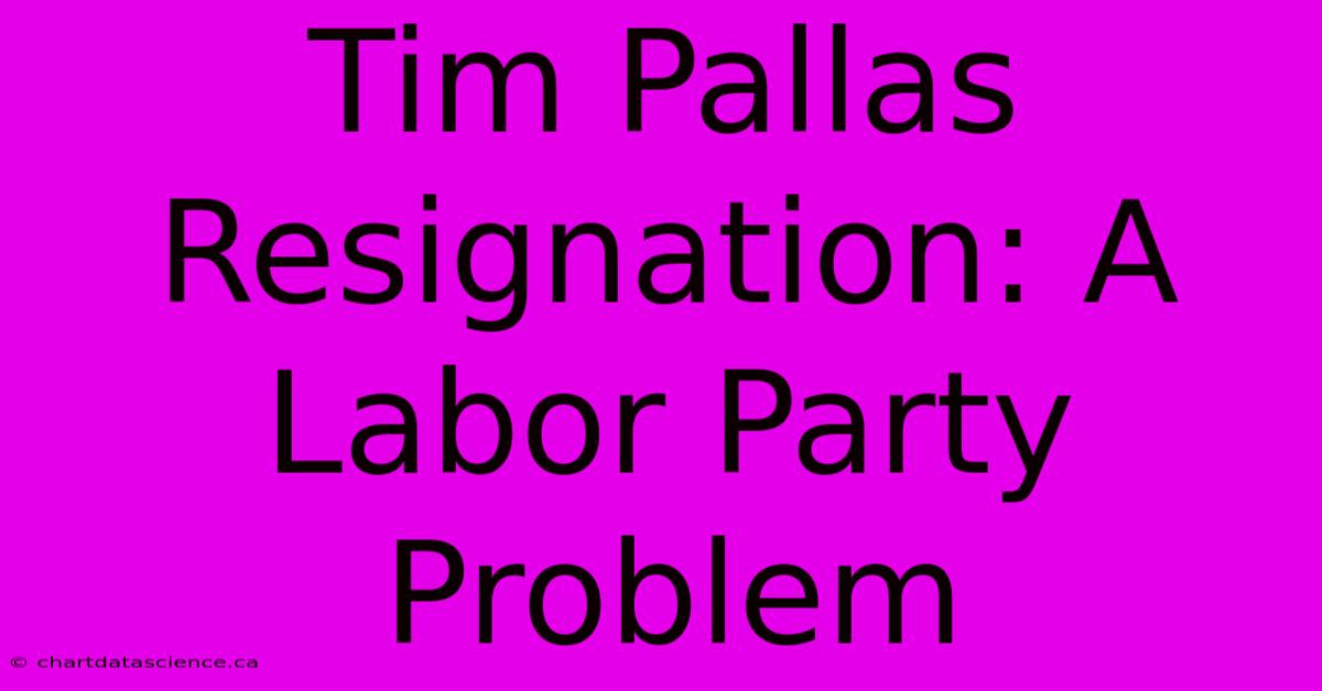 Tim Pallas Resignation: A Labor Party Problem