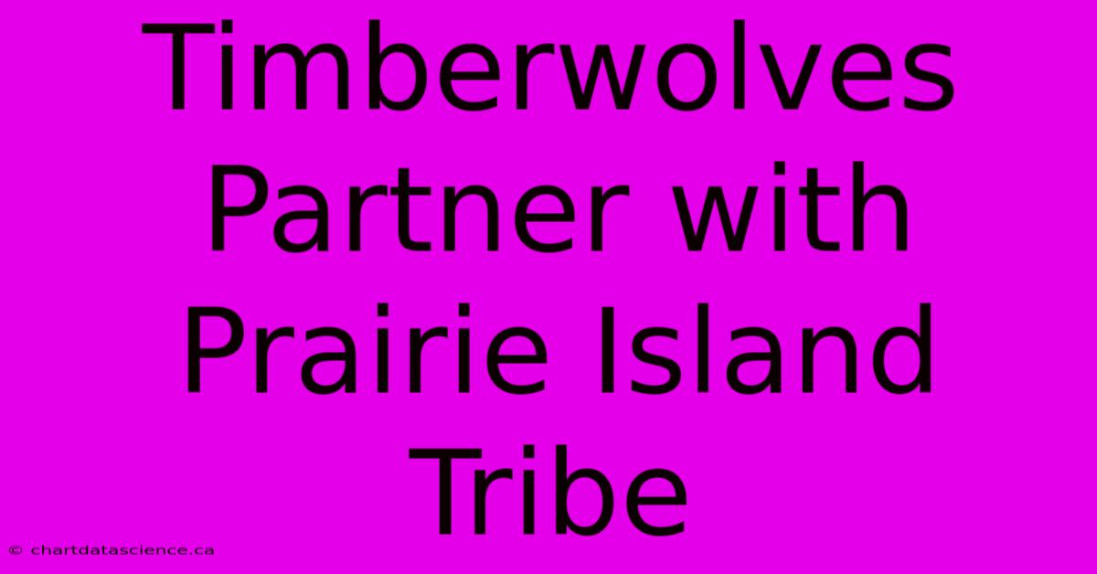 Timberwolves Partner With Prairie Island Tribe 