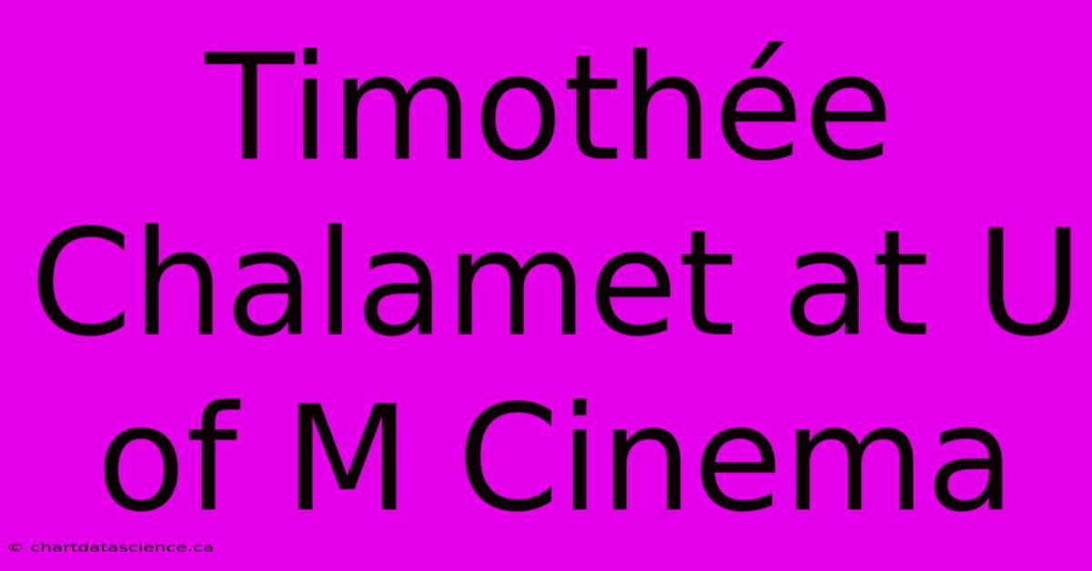 Timothée Chalamet At U Of M Cinema